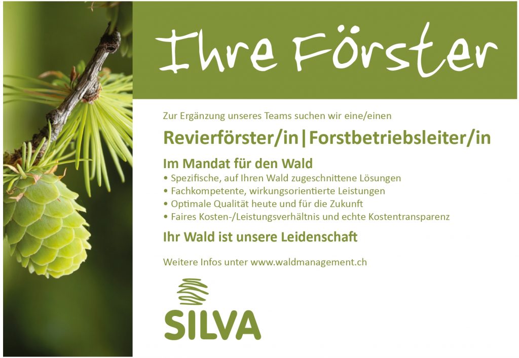 Stelleninserat