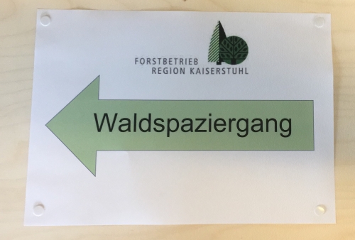 Waldspaziergang